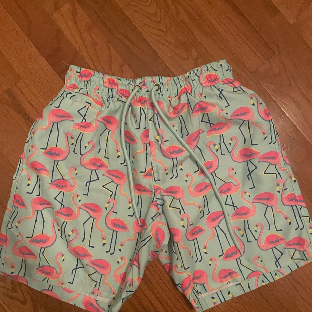 Flamingo Swim Trunks Free Planet Surf & Swim